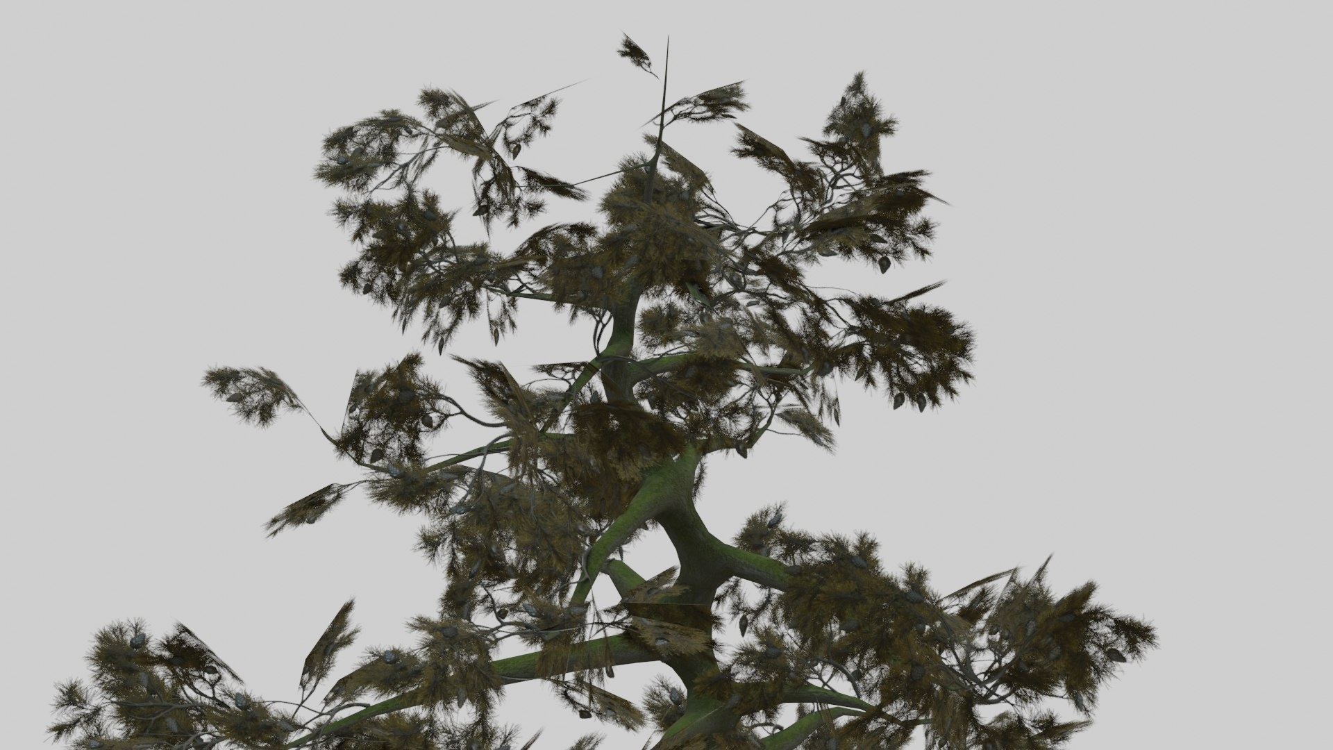 japanese foliage pack pbr 3D model https://p.turbosquid.com/ts-thumb/6C/dM7VRY/xuEBY0xm/preview26/jpg/1572837916/1920x1080/fit_q87/2a97c25fd75369fb55d10da6befa159671cae24e/preview26.jpg