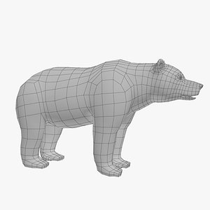 bear basemesh 3d model