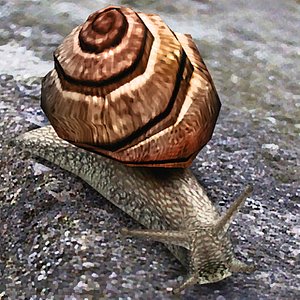 snail 01 max