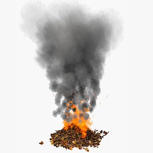Pile Of Dry Dead Leaves Burning