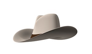 Cowboy Hat