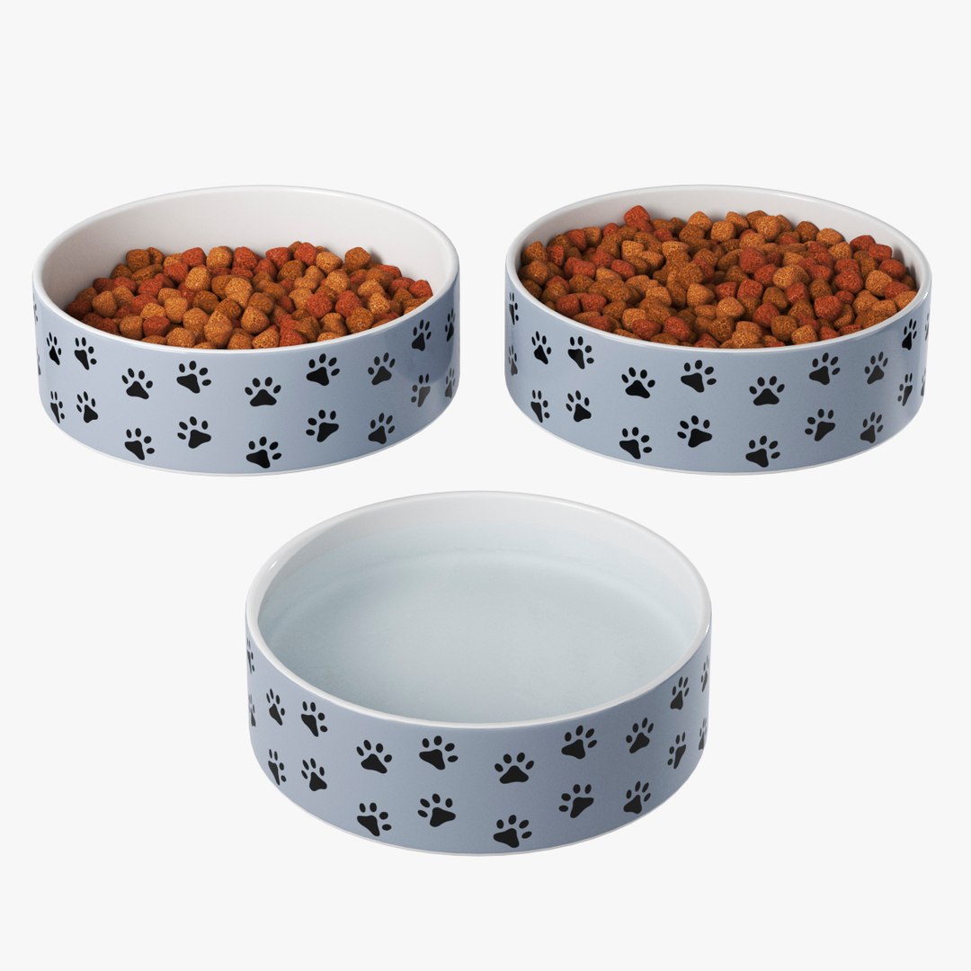 paw bowl food 3D model https://p.turbosquid.com/ts-thumb/6D/3cEYu7/E8/paw_bowl_render_all1/jpg/1686267367/1920x1080/fit_q87/2bb28b2461a4754dc81df6a7e1adfc4d27c07f5e/paw_bowl_render_all1.jpg
