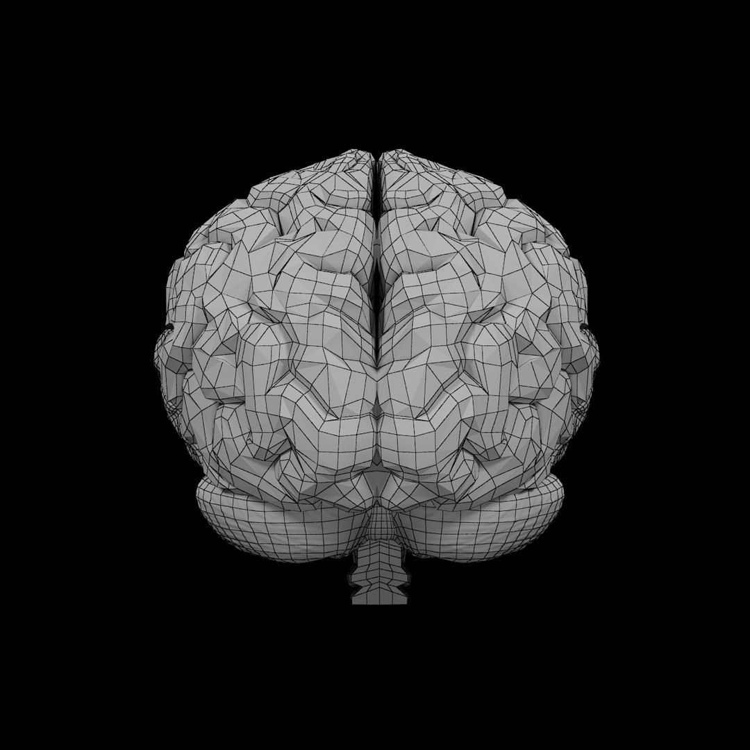 3dsmax human brain