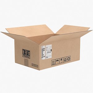 Cardboard Box 2 Open