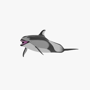Pacific White Sided Dolphin 3D model