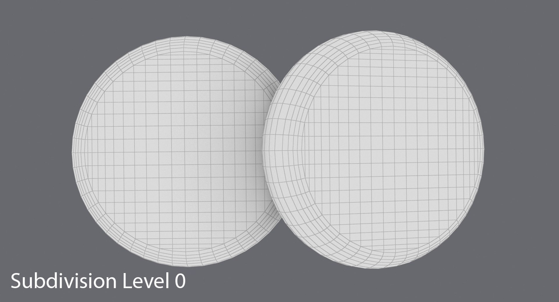 sponge 3d model