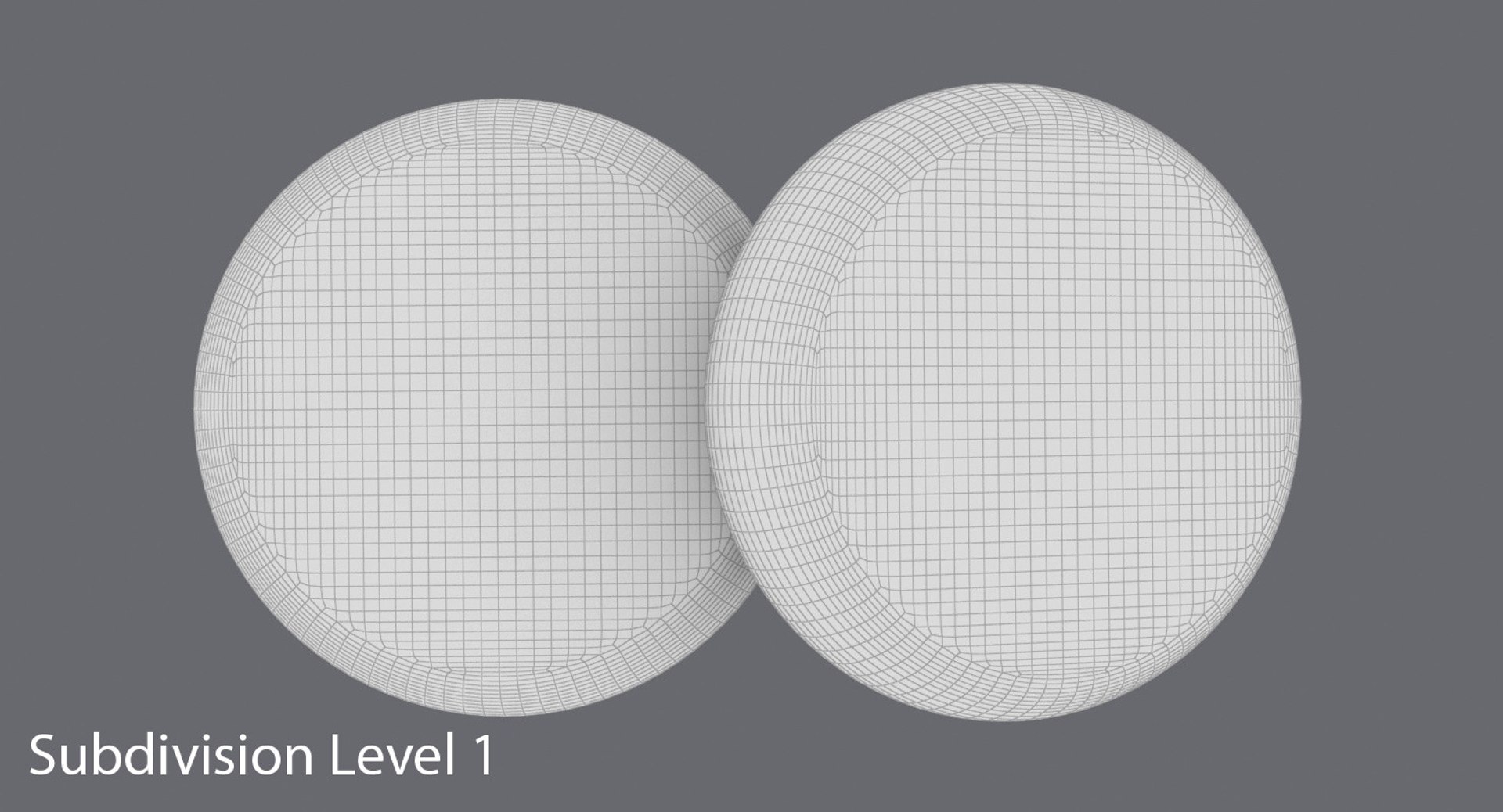 sponge 3d model