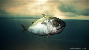 3d realistic fish