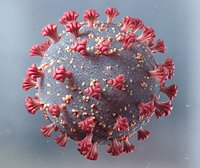 Corona Virus- COVID-19 3D model