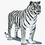 Animated Tiger with Two Color Variations White and Natural
