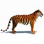 Animated Tiger with Two Color Variations White and Natural
