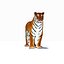 3d model tiger color rigging animation