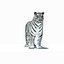 Animated Tiger with Two Color Variations White and Natural
