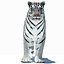 Animated Tiger with Two Color Variations White and Natural