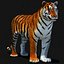 Animated Tiger with Two Color Variations White and Natural