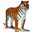 Animated Tiger with Two Color Variations White and Natural
