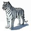 Animated Tiger with Two Color Variations White and Natural