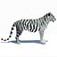 Animated Tiger with Two Color Variations White and Natural