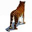 Animated Tiger with Two Color Variations White and Natural