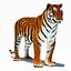 3d model tiger color rigging animation