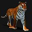 3d model tiger color rigging animation