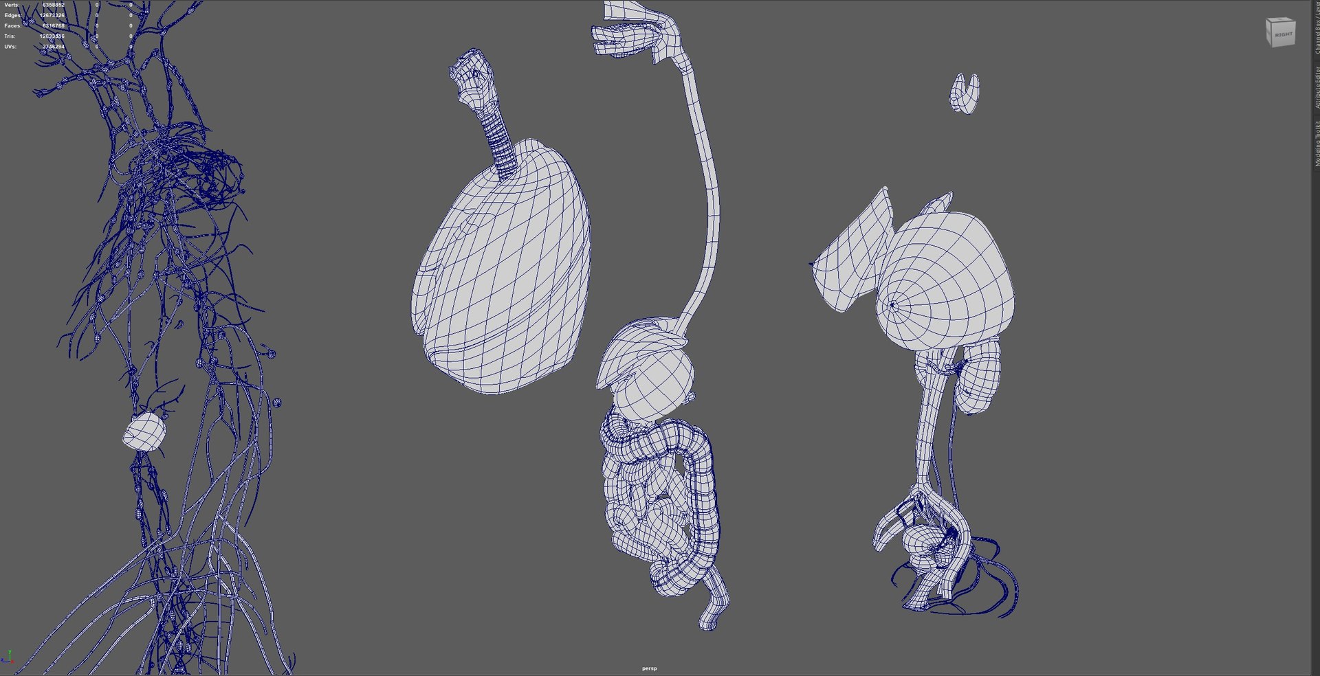 3D Complete Female Anatomy Blue and Orange Transparent 3D Model https://p.turbosquid.com/ts-thumb/6D/uXGYz1/Sj/9/jpg/1753805591/1920x1080/fit_q87/4538e382fb1897ccbb244fc7c84a4d5e1561f179/9.jpg