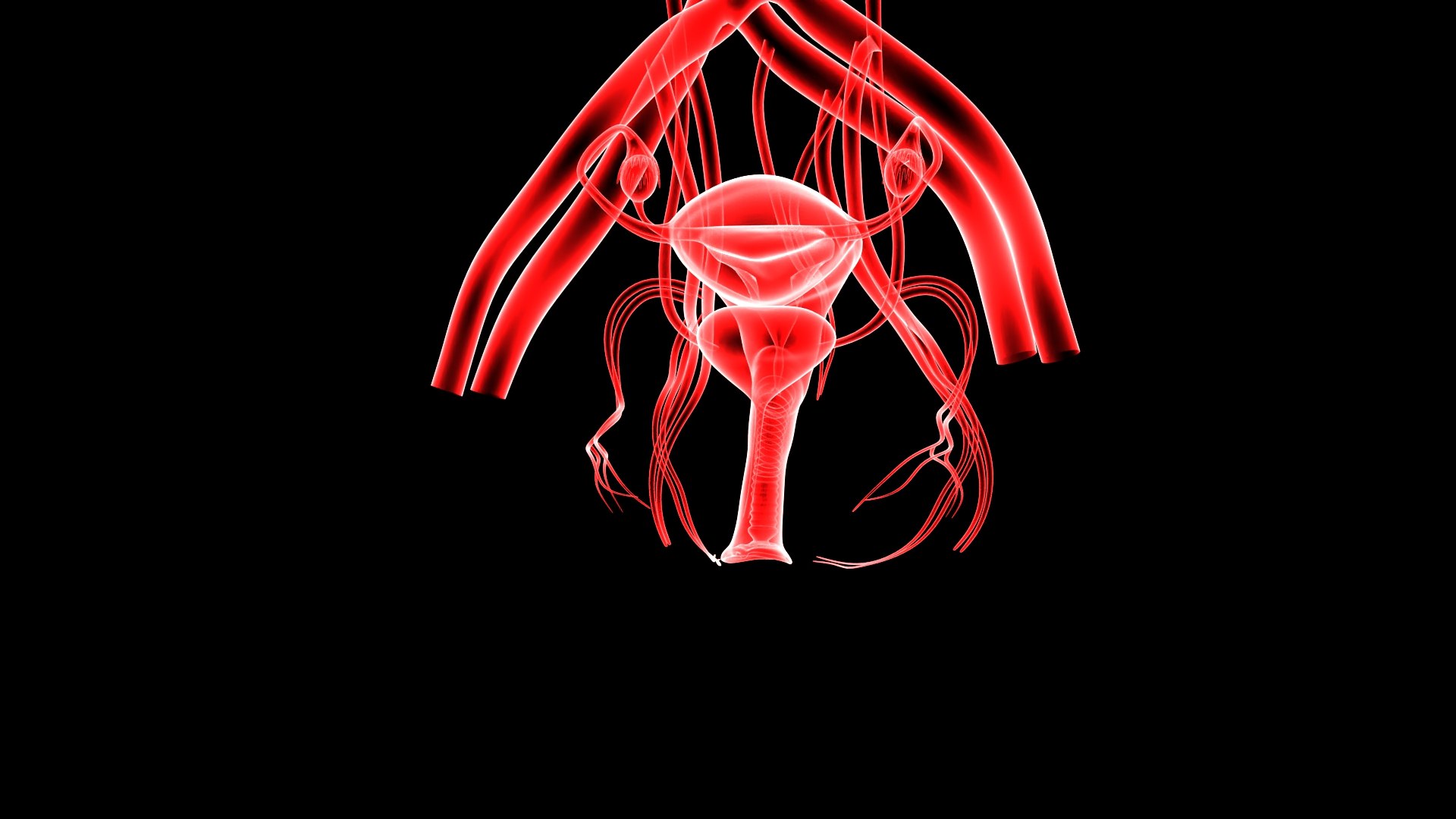 3D Complete Female Anatomy Blue and Orange Transparent 3D Model https://p.turbosquid.com/ts-thumb/6D/uXGYz1/dv/female_anatomy.215/jpg/1753805381/1920x1080/fit_q87/e8224da9445e491d29d5a759635dd5e15daf6d0f/female_anatomy.215.jpg