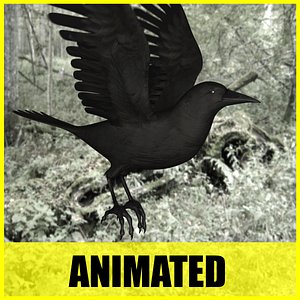 3d model crow flying animation