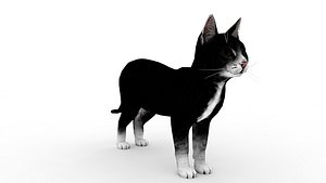 3D White  Black Cat model