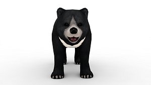 black bear