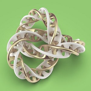 knot model