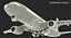 Airbus A320 Generic Rigged