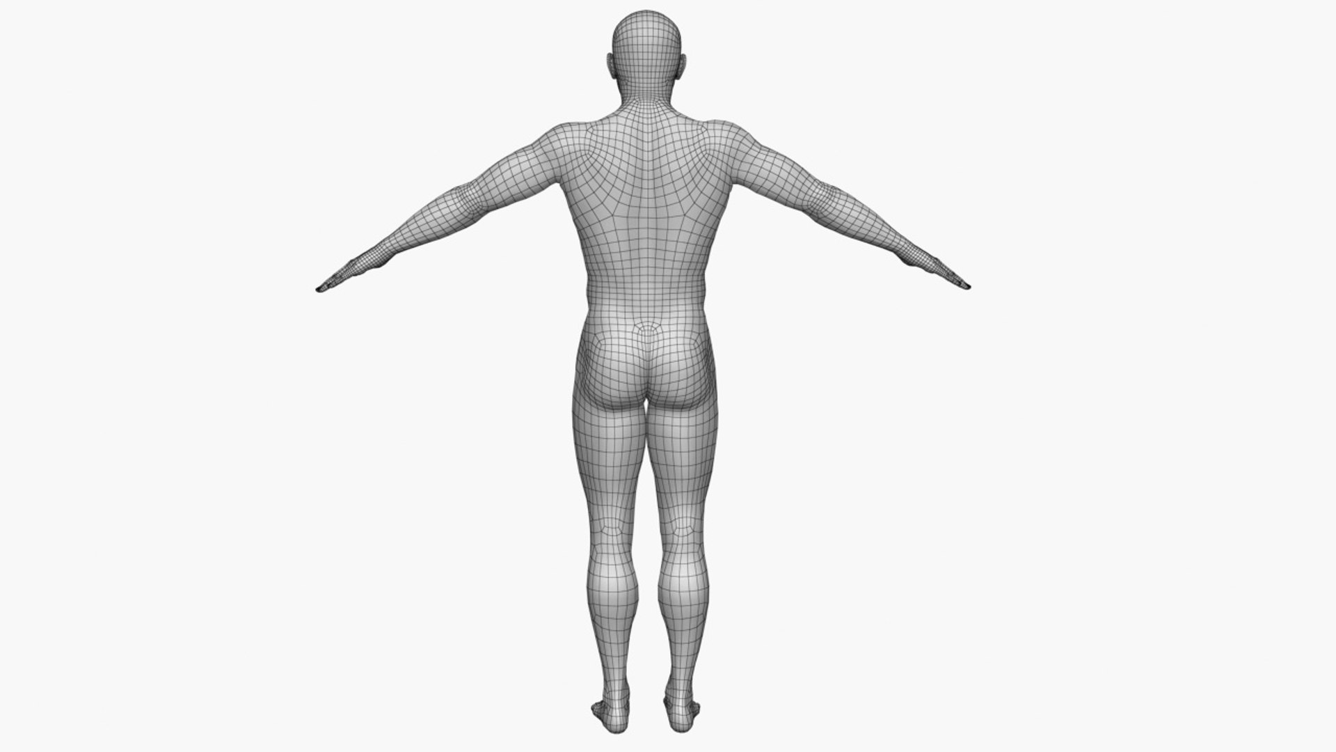 3D Human Skeleton With X-ray Body - Rigged Animated Walk Run Loop ...
