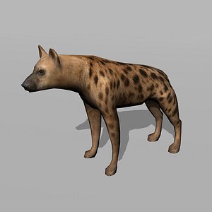 hyena uv max