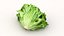 salad head lettuce 3D model