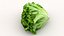 salad head lettuce 3D model