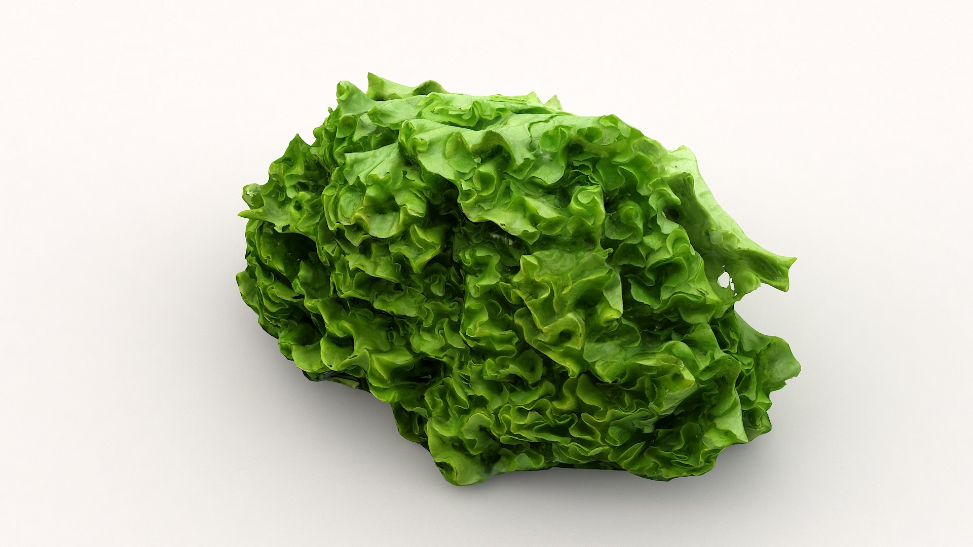 salad head lettuce 3D model https://p.turbosquid.com/ts-thumb/6F/8nwTPz/nLCLpY8g/saladhead02_09/jpg/1579451883/1920x1080/fit_q87/d873a992a68887747d77b3a93142b769ad72deb3/saladhead02_09.jpg