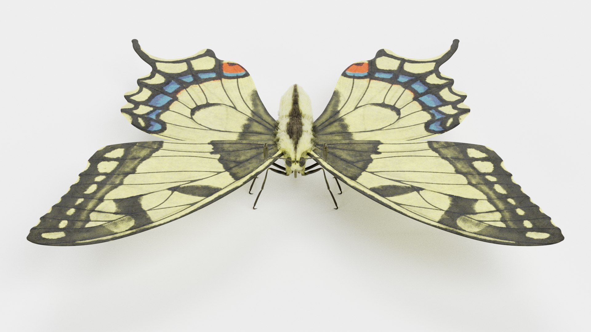 3D Insect - Huge Collection https://p.turbosquid.com/ts-thumb/6F/AuOTmj/gI/papiliomachaonbutterflyc/png/1785533570/1920x1080/fit_q87/056fe356c3995064771f297e0ff9b3e8a0357135/papiliomachaonbutterflyc.jpg