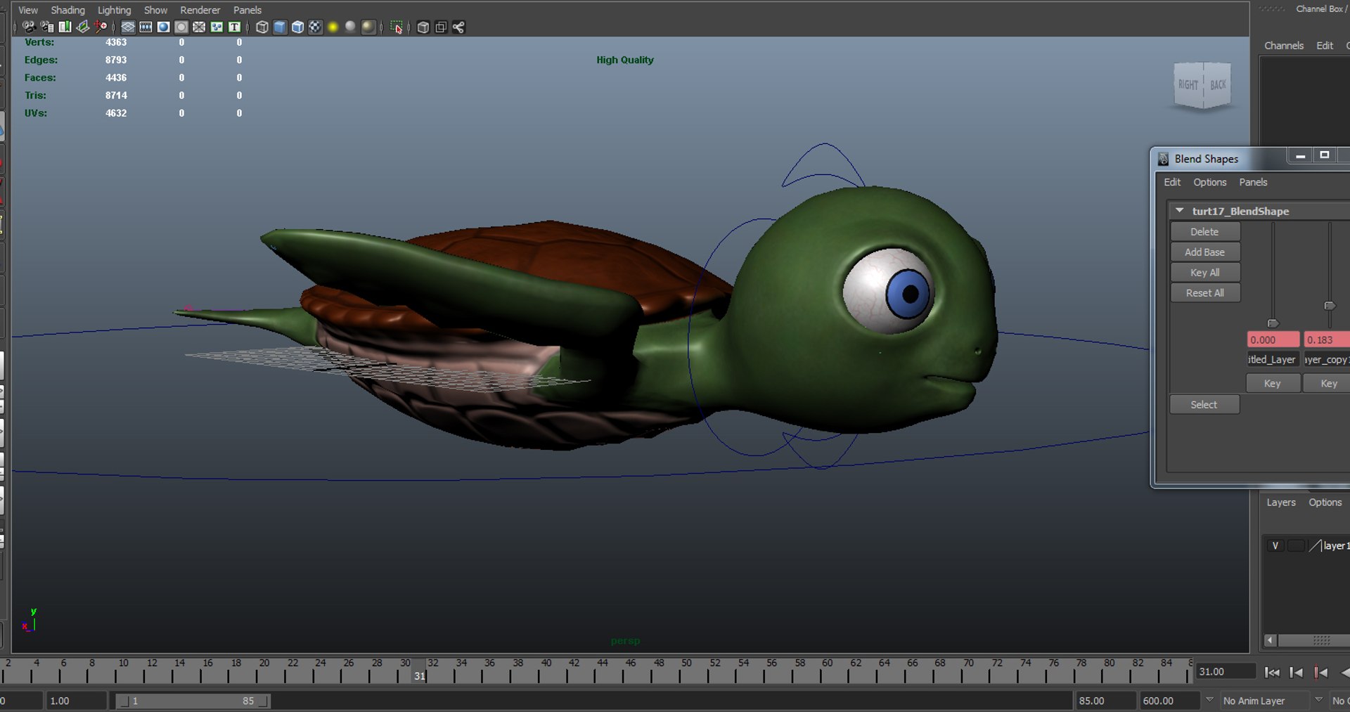 3d Model Turtle