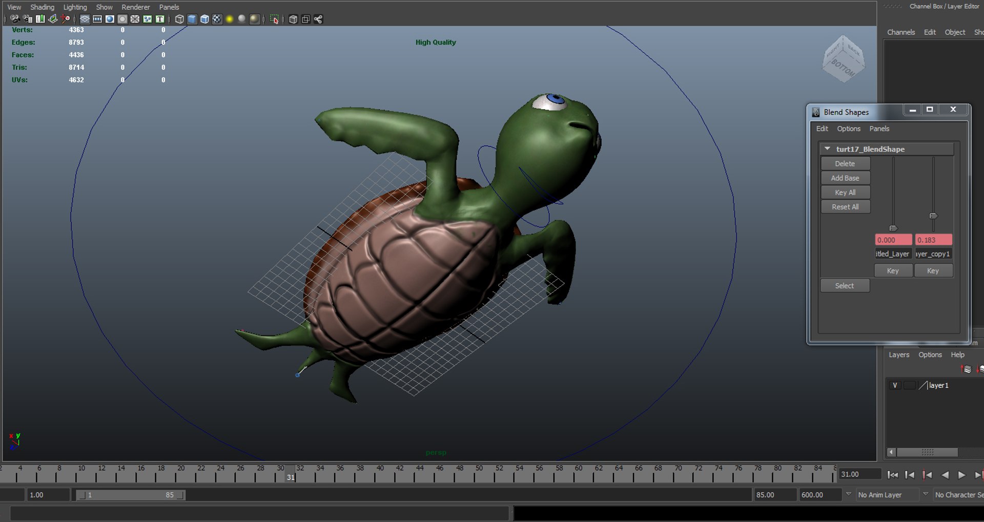 3d Model Turtle