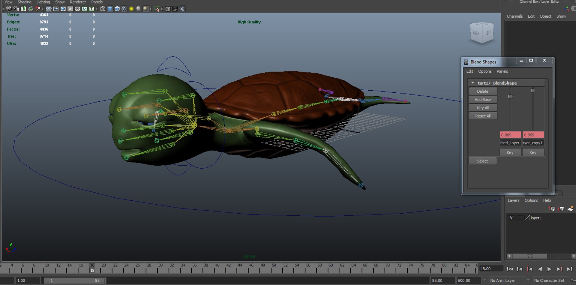 3d Model Turtle