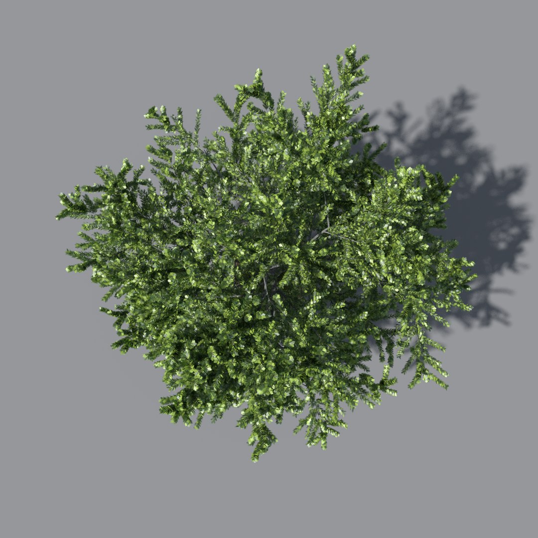 tree oak v1 max free https://p.turbosquid.com/ts-thumb/6F/KUbIL5/TmhEt4mQ/tree_v1.5/png/1405068246/1920x1080/fit_q87/eeb13dc76355a23adc08c641d1baafc92d2db629/tree_v1.5.jpg