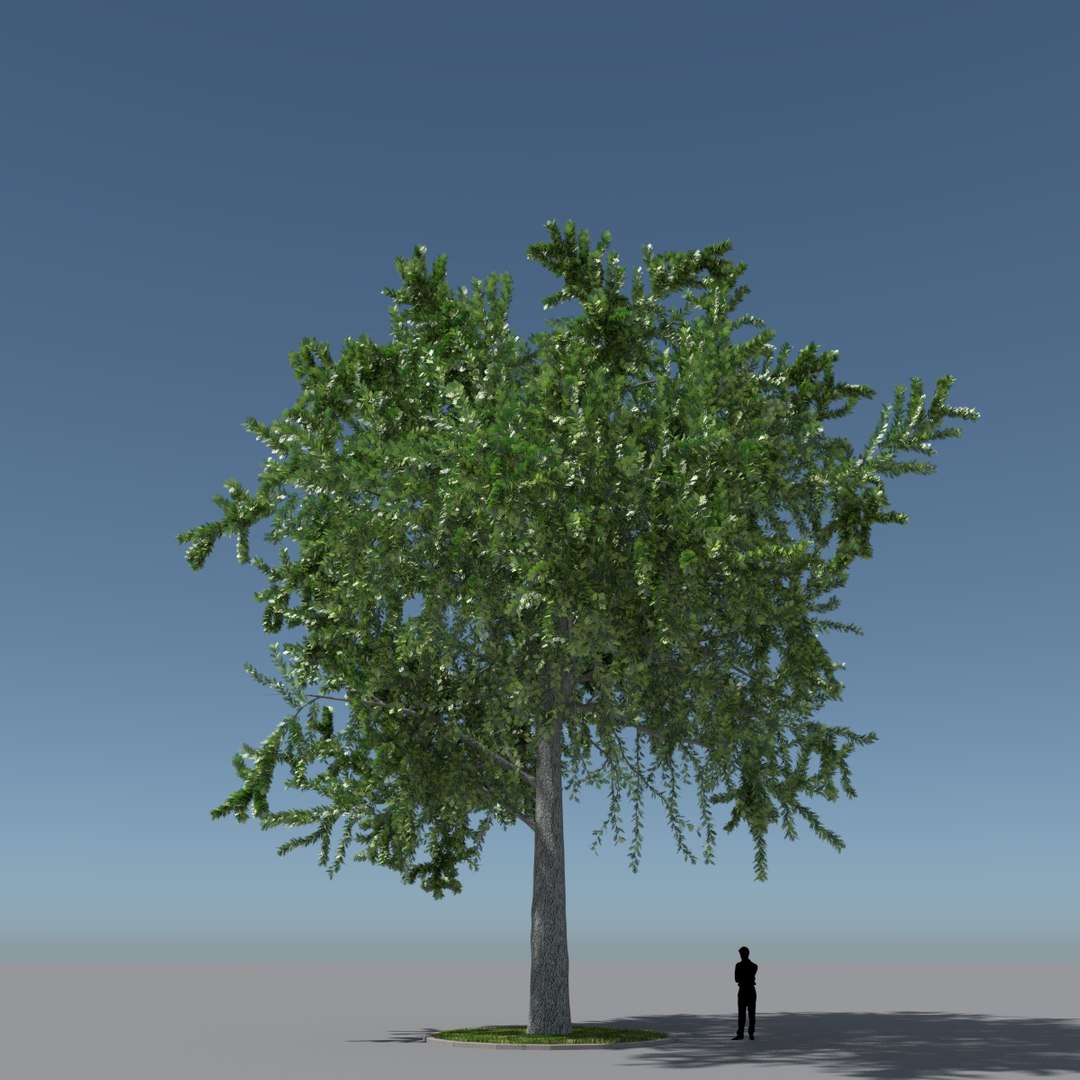 tree oak v1 max free https://p.turbosquid.com/ts-thumb/6F/KUbIL5/id5QB7gB/tree_v1.3/jpg/1405068246/1920x1080/fit_q87/08c1cc44c9b1f7fe23d8b59aacdf1fedf2874882/tree_v1.3.jpg