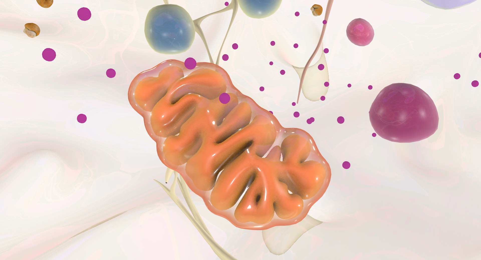 white blood cells 3D model https://p.turbosquid.com/ts-thumb/6F/Pc8sNv/4kZouQJJ/netrophil_15/jpg/1520434262/1920x1080/fit_q87/49ae96c609b426969a516e5c9cef815ea93e2ca6/netrophil_15.jpg