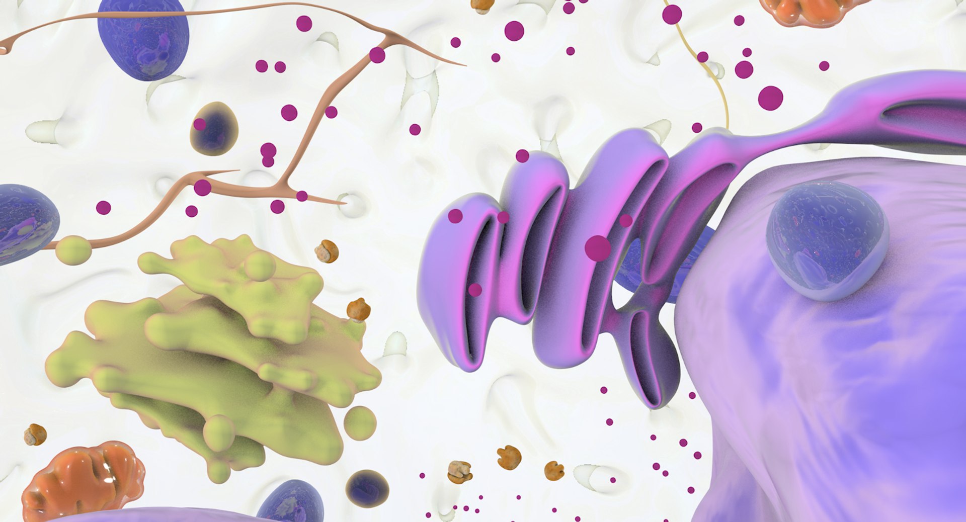 white blood cells 3D model https://p.turbosquid.com/ts-thumb/6F/Pc8sNv/KqcVgQFy/basophil_14/jpg/1520627713/1920x1080/fit_q87/a77e2fff211186fc1b85c18a10e119d3a52c1531/basophil_14.jpg