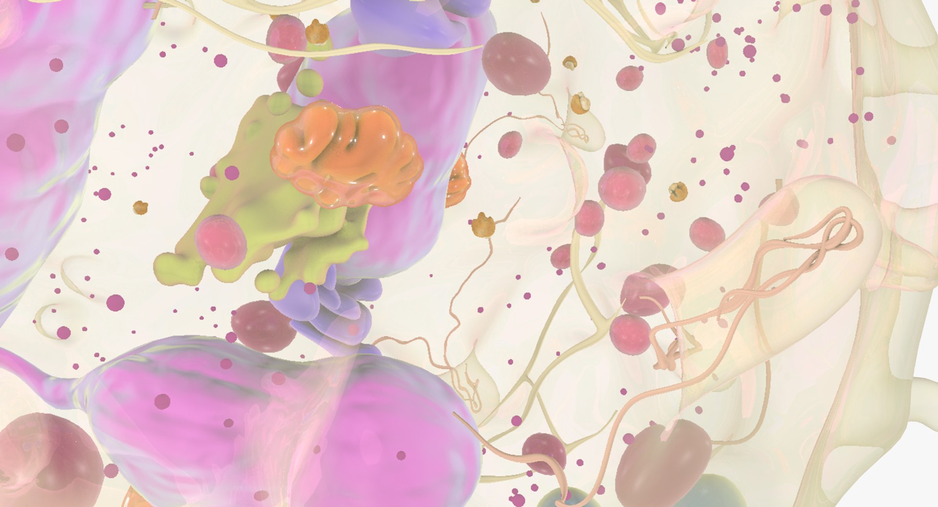 white blood cells 3D model https://p.turbosquid.com/ts-thumb/6F/Pc8sNv/Rfa6Xihl/netrophil_13/jpg/1520434262/1920x1080/fit_q87/e0702c71699ce6cd357afae170ce9f73c7caaab9/netrophil_13.jpg