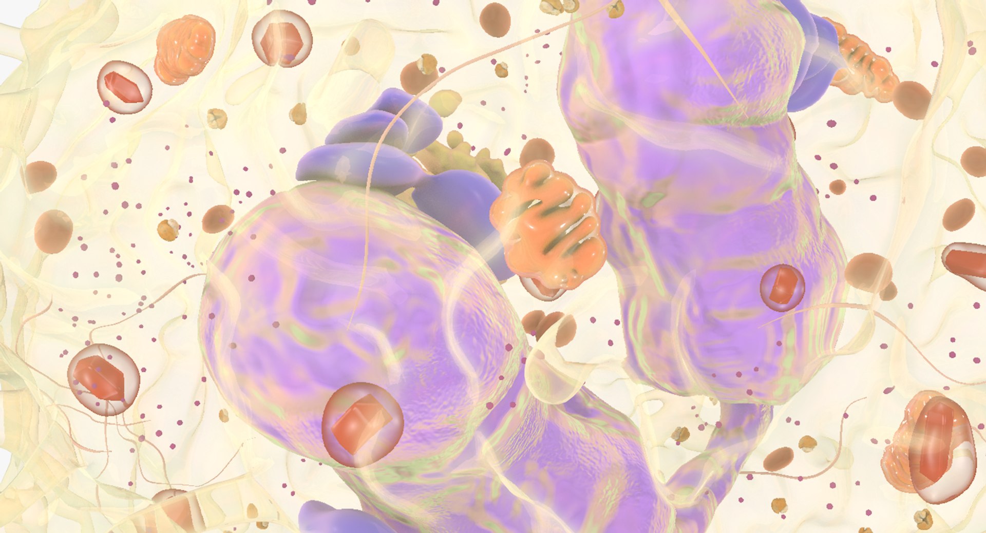 white blood cells 3D model https://p.turbosquid.com/ts-thumb/6F/Pc8sNv/T0iS1TIZ/eosinophil_09/jpg/1520590794/1920x1080/fit_q87/6173dafefd6d51b3b5f14044a34ba2ff364e2731/eosinophil_09.jpg