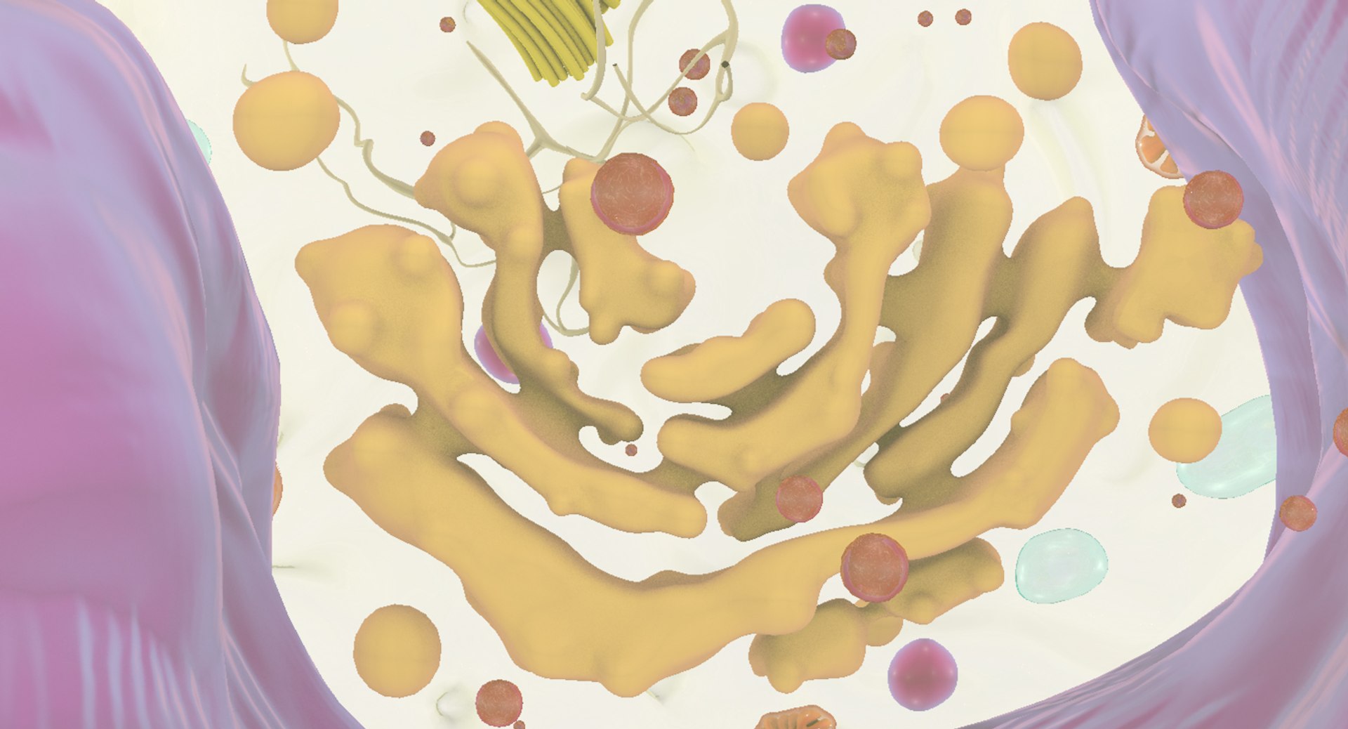 white blood cells 3D model https://p.turbosquid.com/ts-thumb/6F/Pc8sNv/W7YtogrO/monocyte_13/jpg/1520677910/1920x1080/fit_q87/426fa45b051365e9b6433fd3bc5465575534d24e/monocyte_13.jpg