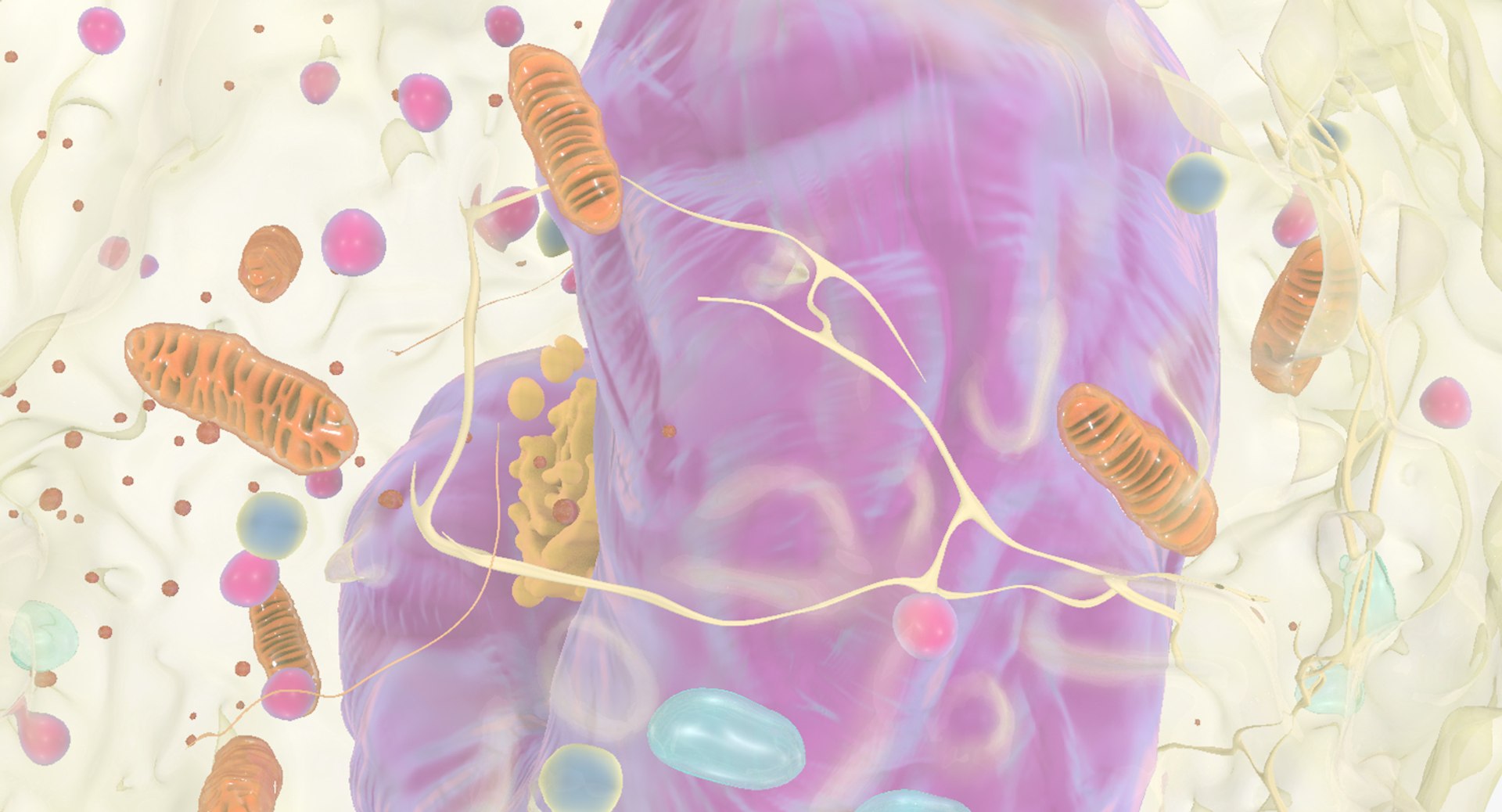 white blood cells 3D model https://p.turbosquid.com/ts-thumb/6F/Pc8sNv/WgtQRNs9/monocyte_11/jpg/1520677910/1920x1080/fit_q87/d5c7c9e76769eef0d62082b247b472bfba6f9d4c/monocyte_11.jpg