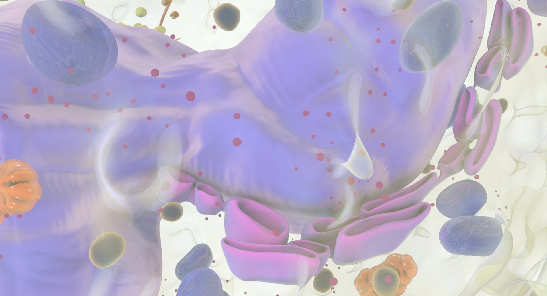 white blood cells 3D model https://p.turbosquid.com/ts-thumb/6F/Pc8sNv/ZObea7oE/basophil_15/jpg/1520627713/1920x1080/fit_q87/16af8847a1fbe397e5296a1c88ed9f5dd0000523/basophil_15.jpg